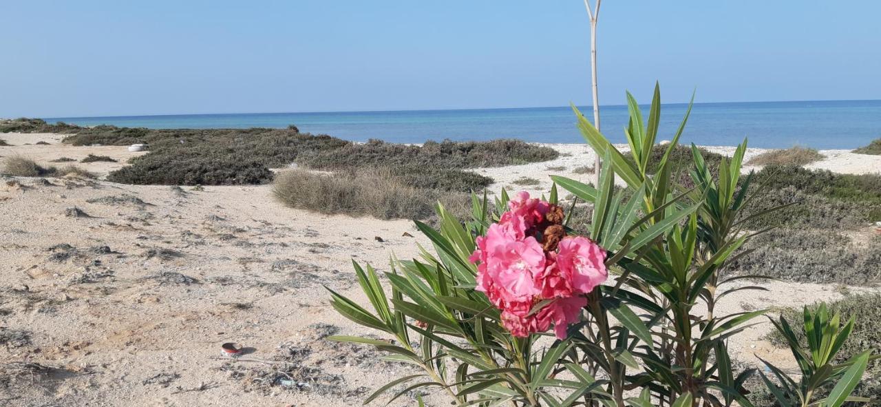 مبيت وإفطار Mezrane Dar Chick Yahia Ile De Djerba المظهر الخارجي الصورة